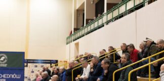 Orlicz Suchedniów wśród najlepszych w Polsce